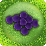 Logo of Bacteria android Application 