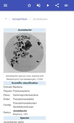 Bacteria android App screenshot 12