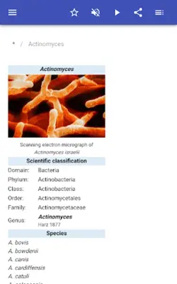 Bacteria android App screenshot 8